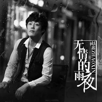 无情的雨夜封面