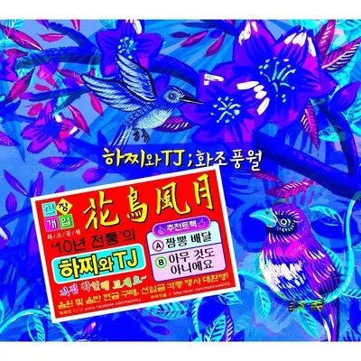 花鸟风月(Intro1)封面