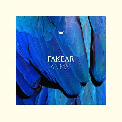 Silver - Fakear / Rae Morris封面