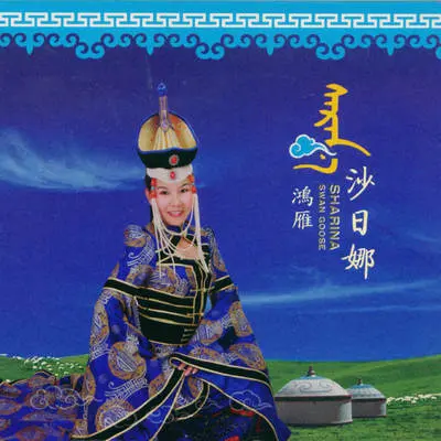 鸿雁封面