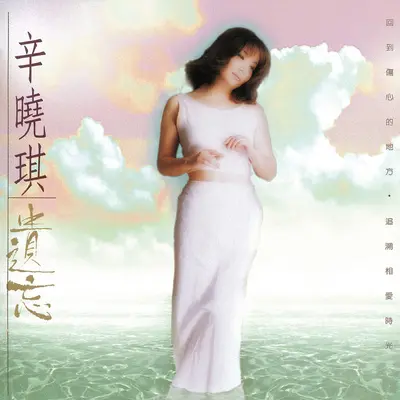 遗忘 - 辛晓琪封面