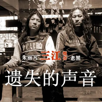 遗失的声音封面