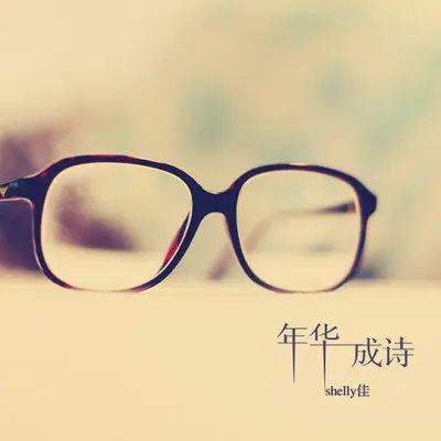 年华成诗（完整版）封面