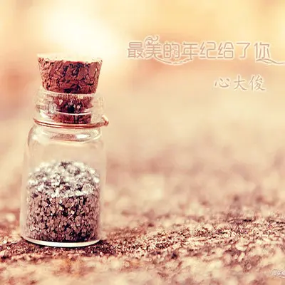 最美的年纪给了你（完整版）封面