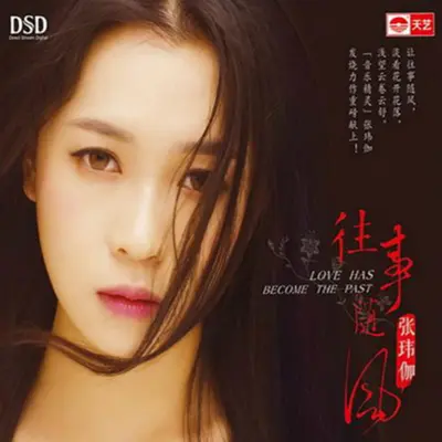 以后的以后 - 张玮伽封面
