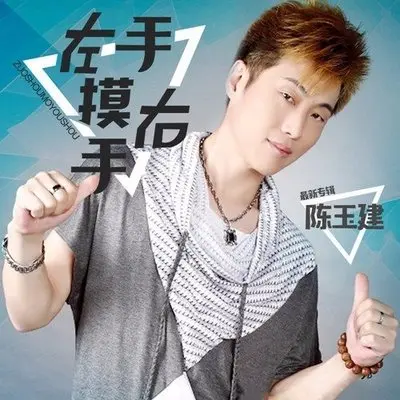 左手摸右手封面