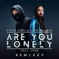 Are You Lonely (YUAN Remix)