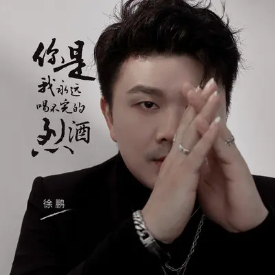 你是我永远喝不完的烈酒(伴奏) - 徐鹏封面