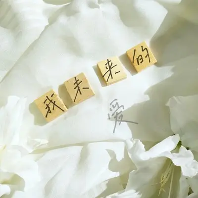 我未来的爱封面