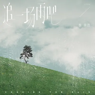 追一场雨吧封面