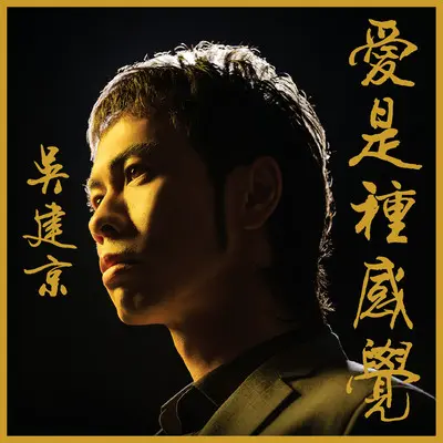 你在干嘛封面