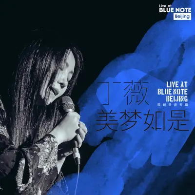 风度(Live at Blue Note Beijing)封面