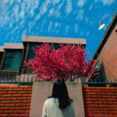 Bye (With Nida) - Sorae / Nida封面