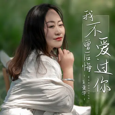 我不曾后悔爱过你封面
