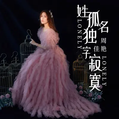 姓孤名独字寂寞(DJheap九天版)封面