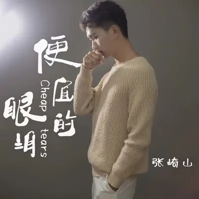 便宜的眼泪封面