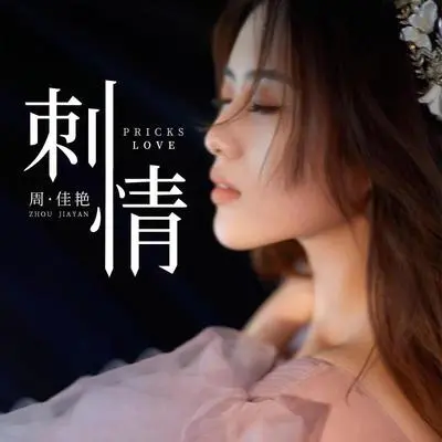 刺情(dj沈念版)封面