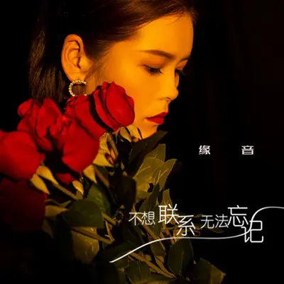 不想联系无法忘记封面