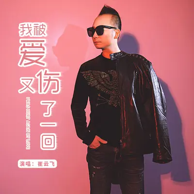 我被爱又伤了一回封面