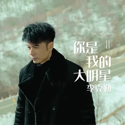 你是我的大明星(国语)封面