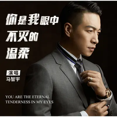 你是我眼中不灭的温柔(DJheap九天版)封面