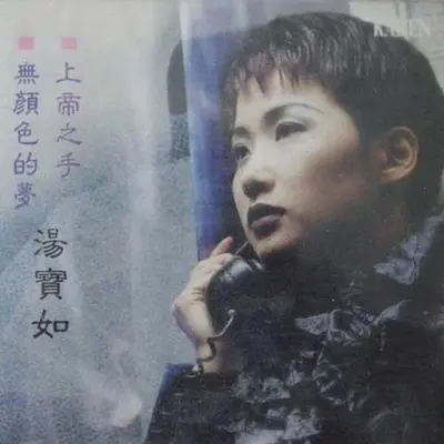 绝对是个梦封面