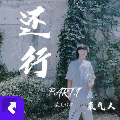 最美时光（Feat.杨大树）封面