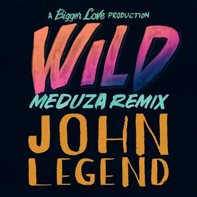 Wild(Meduza Remix)封面