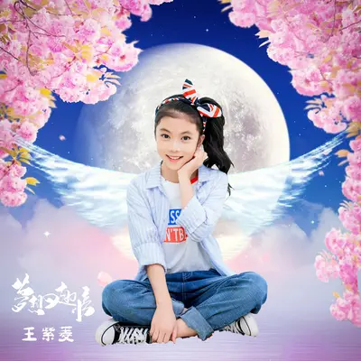 梦想的翅膀封面