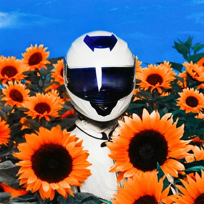 Freefall (feat. Oliver Tree)封面