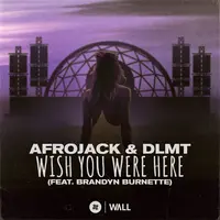 Wish You Were Here (feat. Brandyn Burnette)(Extended Mix)