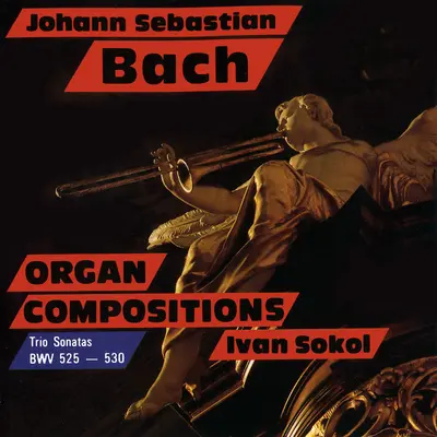 Sonata No.1 in E Major, BWV 525: Allegro - Ivan Sokol封面