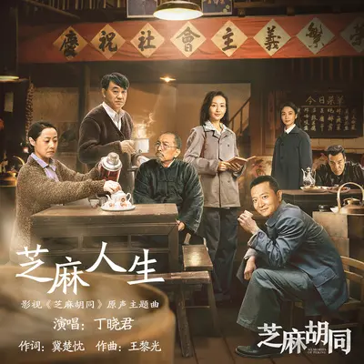芝麻人生(伴奏版)(电视剧《芝麻胡同》背景音乐)封面