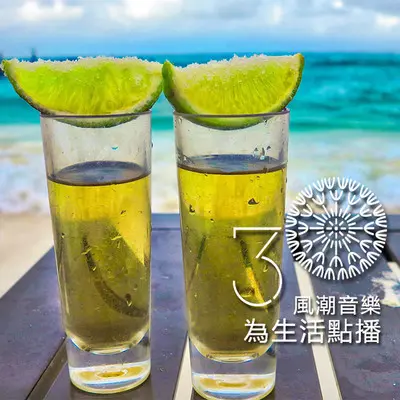 【吃喝玩乐】沉醉在龙舌兰的微醺中好好休息 - 风潮音乐封面