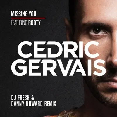 Missing You (Dj Fresh And Danny Howard Remix)封面