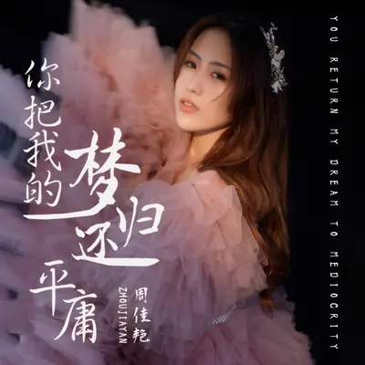 你把我的梦归还平庸封面