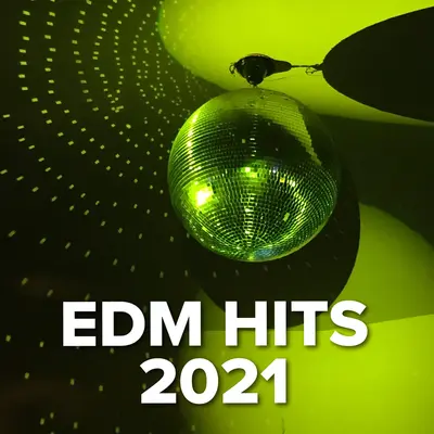 Lovefool(Nicky Romero Remix)封面