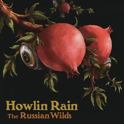 Dark Side - Howlin Rain封面