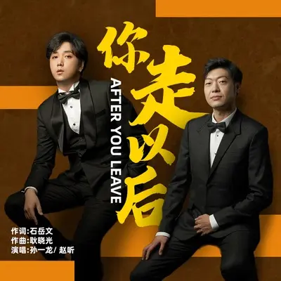 你走以后封面