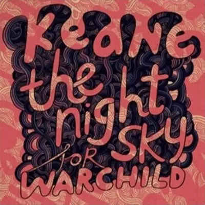 The Night Sky封面