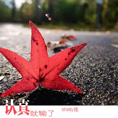 认真就输了(伴奏)封面