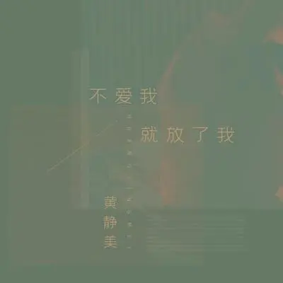 不爱我就放了我封面