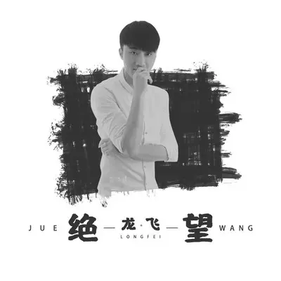 绝望（DJ何鹏版）封面