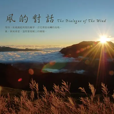 逆风翱翔封面