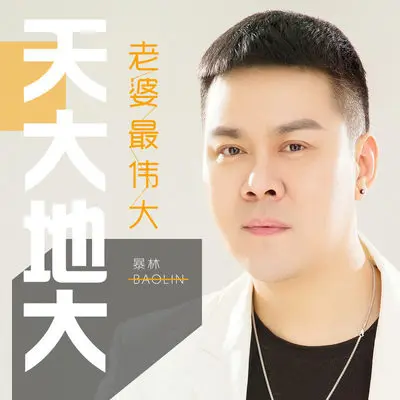 天大地大老婆最伟大 (DJ版) - 暴林封面