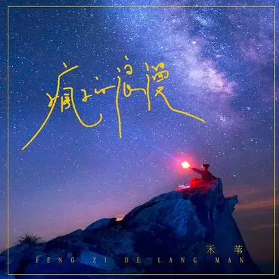 疯子的浪漫 - 禾苇封面