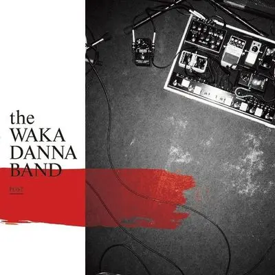 伝えたい事がこんなあるのに - the WAKADANNA BAND封面