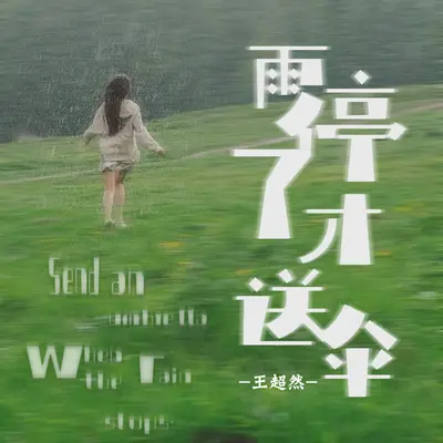 雨停了才送伞(DJheap九天版)封面