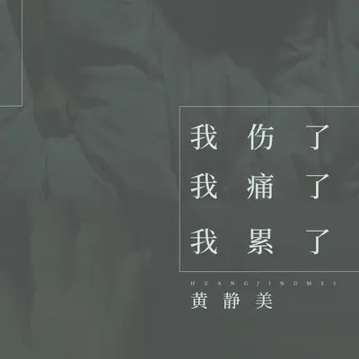 我伤了我痛了我累了(DJHouse版)(DJHouse版)封面