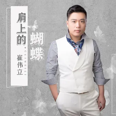 肩上的蝴蝶 (DJ何鹏版)封面